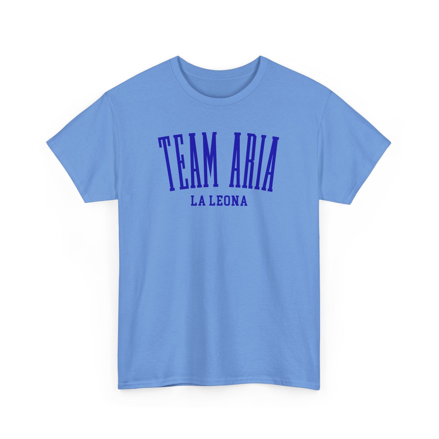 Team Aria