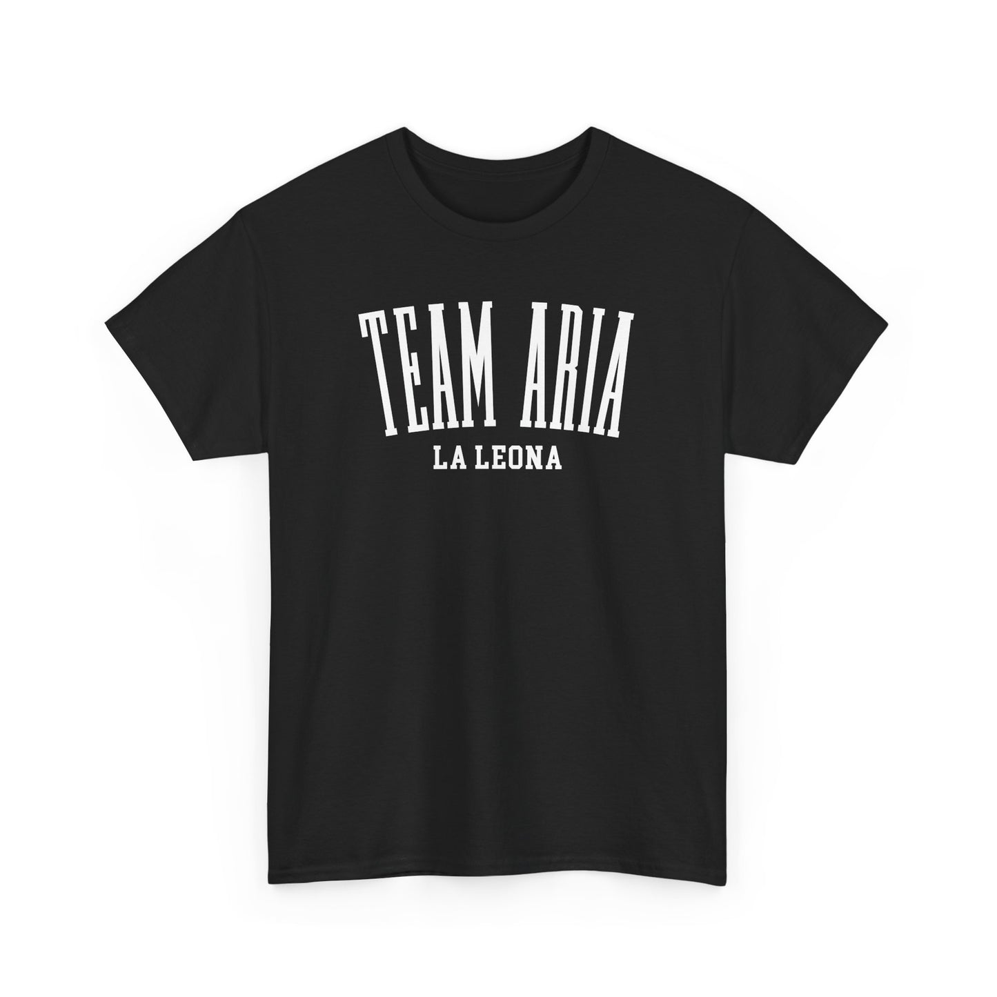 Team Aria